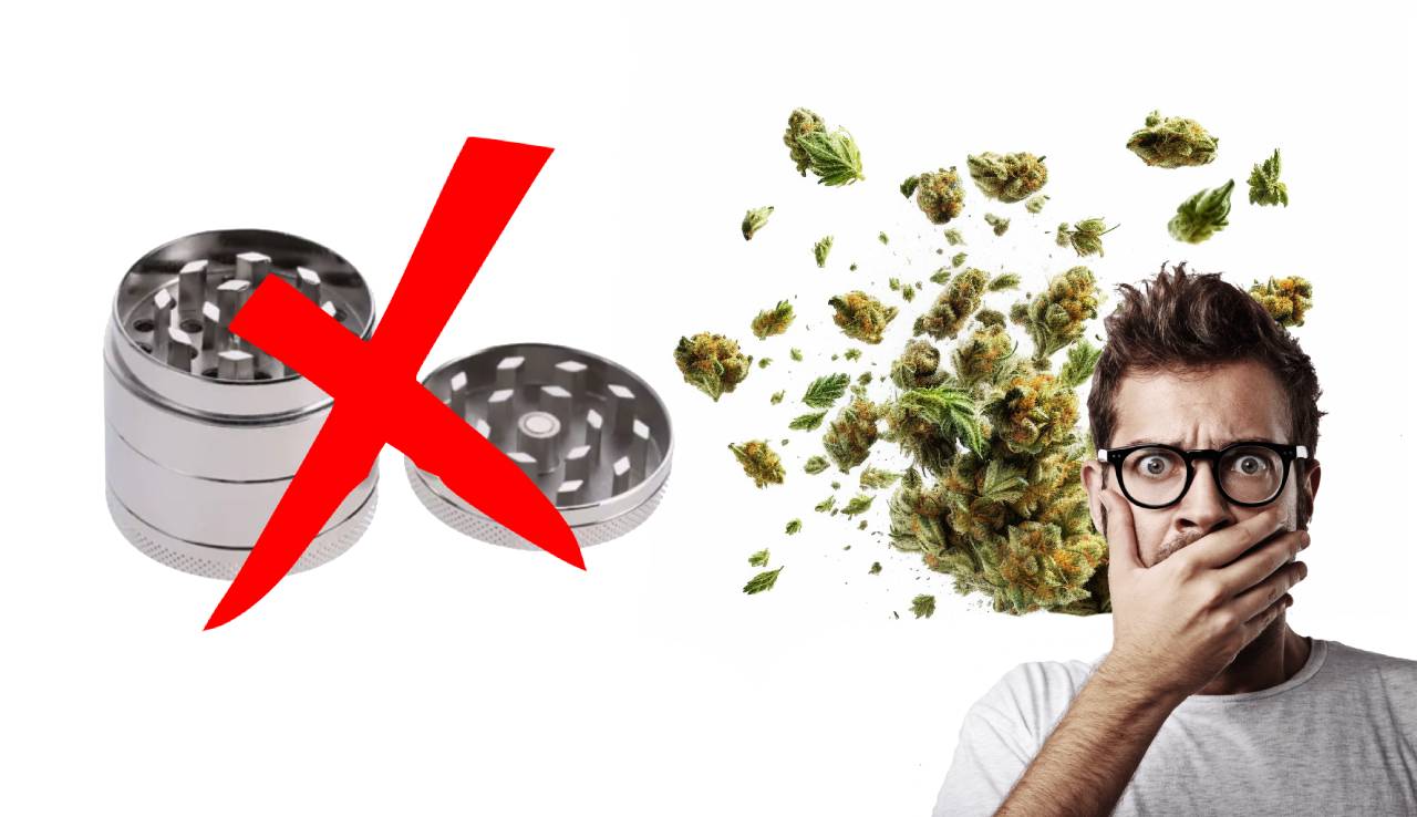 how to grind weed without a grinder