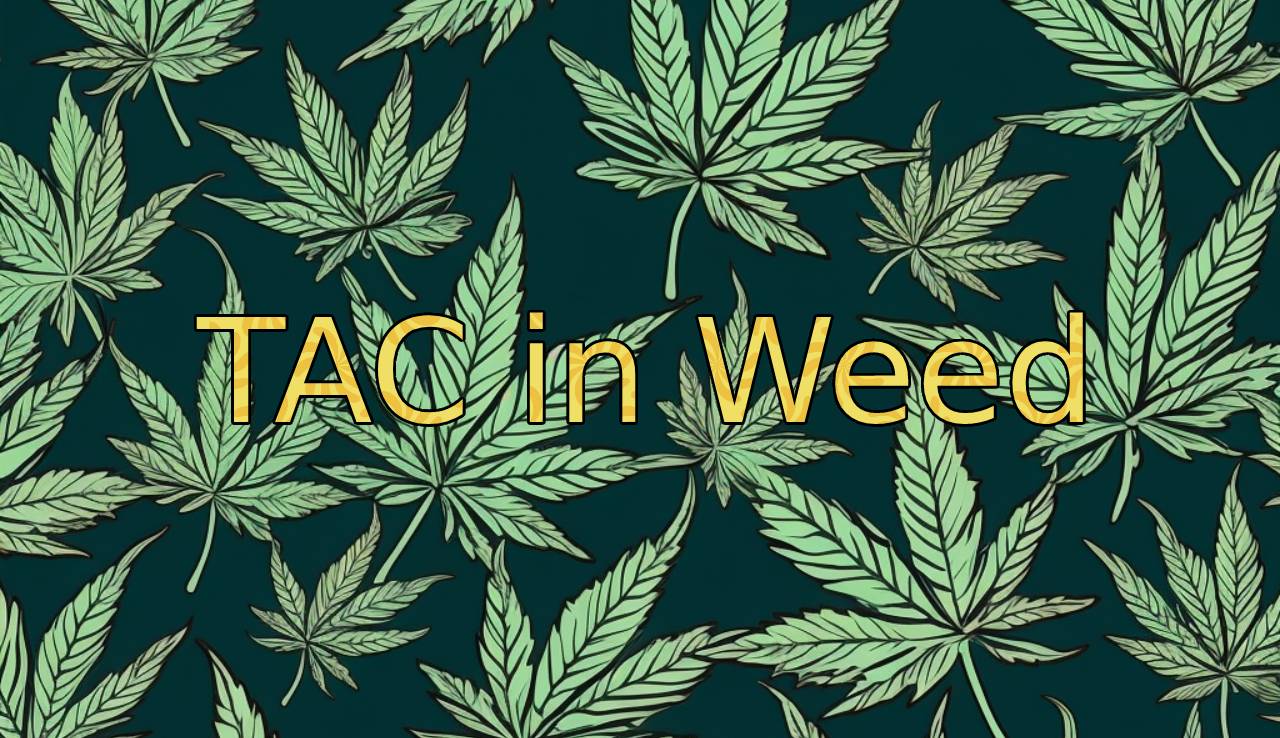 what is TAC in weed