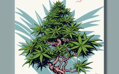 How to Grow a Bonsai Cannabis Tree?