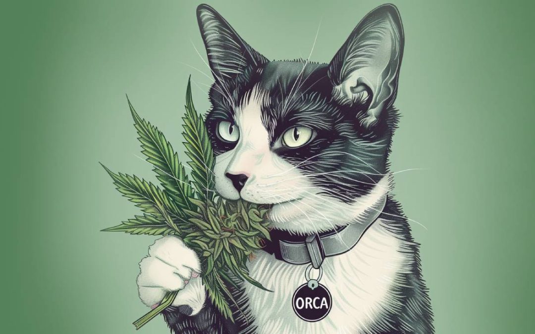 Animals And Marijuana Plants