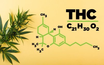 What Is THC?