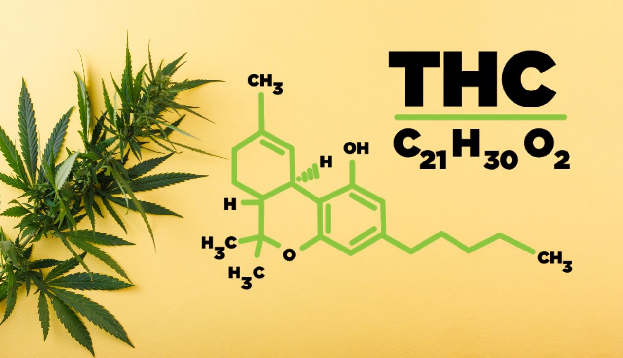 What Is THC